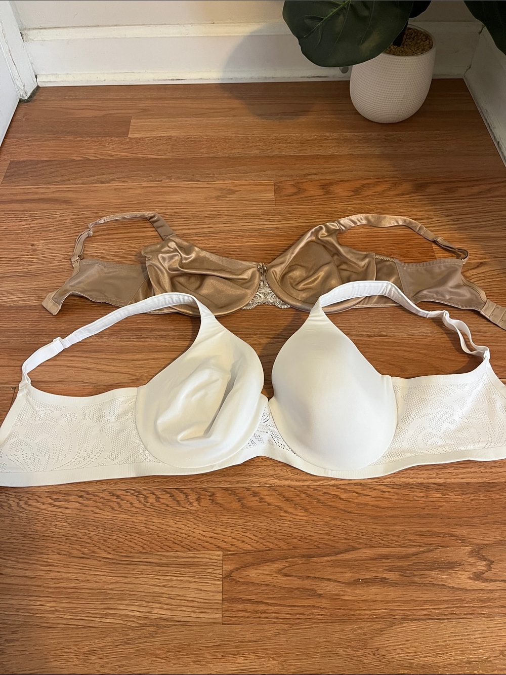 Bali Two-Pack T-Shirt Bras in White and Nude